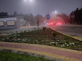 al bahah, saudi Arabien, 12 april 2024 - skön nattetid se av raghadan skog parkera i al bahah område av saudi arabien. de grön träd och gräs i de parkera förse en skön se. foto