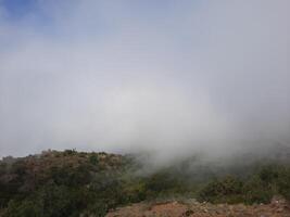 hisnande naturlig skönhet av abha i saudi arabien i de sommar säsong. hög berg, grönska, låg moln och dimma är de skönhet av abha. foto