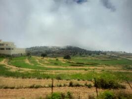 hisnande naturlig skönhet av abha i saudi arabien i de sommar säsong. hög berg, grönska, låg moln och dimma är de skönhet av abha. foto