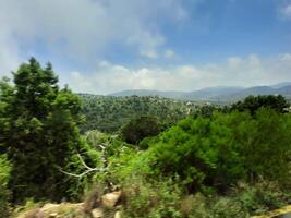 hisnande naturlig skönhet av abha i saudi arabien i de sommar säsong. hög berg, grönska, låg moln och dimma är de skönhet av abha. foto