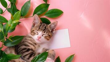 en söt kattunge sovande Nästa till grön löv på en rosa bakgrund med en tom vit kort i de mitten av de bild. foto
