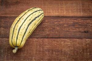 delicata vinter- squash foto