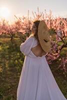 kvinna blomning persika fruktträdgård. mot de bakgrund av en pittoresk persika fruktträdgård, en kvinna i en lång vit klänning och hatt åtnjuter en fredlig promenad i de parkera, omgiven förbi de skönhet av natur. foto