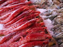 räka röd räkor färsk fisk skaldjur på ortigia syrakus sicilien fisk marknadsföra Italien foto