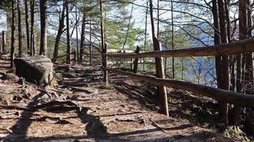 turistväg dovbush trail. pittoreska klippor på en vandringsled i ett skogsberg nära byn yaremche på hösten. vacker tallskog på en solig dag. ukraina, karpaterna foto