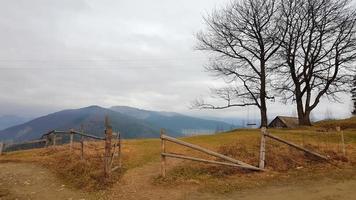 färgstarka höstlandskap i Karpaterna med bergstoppar. karpaterna, ukraina, europa. skönhetens värld. skog med orange löv. solig höstdag i västra Ukraina. foto