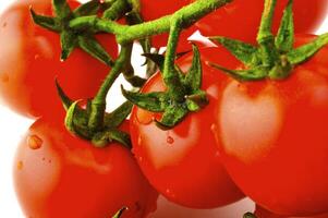 mogen tomater på vit foto
