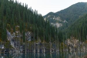 kaindy sjö i tien-shan berg, kazakhstan foto