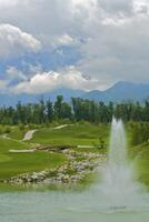 spel i de golf klubb mot de bakgrund av de grön saftig gräs foto