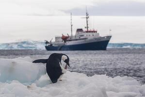 expedition fartyg, kryssning i antarktisk landskap, paulet ö, nära de antarktisk halvö foto