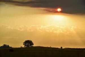 färgrik sommar solnedgång, pampas, argentina foto