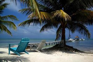 belize cayes - små tropisk ö på barriär rev med paradis strand - känd för dykning, snorkling och avkopplande semester - karibiska hav, belize, central Amerika foto