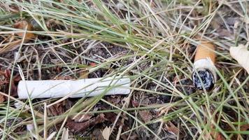 cigarett av misstag kastas i torrt gräs. cigarettfimp slängd på en grön äng, förorenar naturen och miljön foto