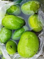 fördelar av rå mango bharta rå mango är mycket användbar i minska aciditet, förstoppning och dålig matsmältning problem förbi portion matsmältning. rå mango innehålla en matsmältnings enzym kallad amylas. som en re foto