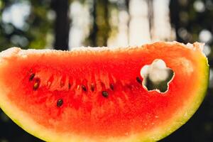 färsk saftig röd vattenmelon skiva blomma formad i händer på bakgrund av utomhus- trädgård i sommartid under solnedgång. begrepp av sommar högtider och semester. långsamt levande enkel nöjen foto