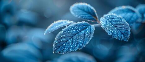frost mönster på en blad i tidigt morgon- foto