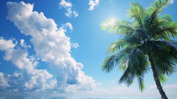 kokos träd och blå himmel framföra de aning av sommar, semester, och avslappning, med ljus och mättad färger, i en realistisk stil, och ett utomhus- miljö, del av de surrealism konst rörelse foto