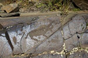 petroglyphs inom de arkeologisk landskap av tamgaly. almaty område, kazakhstan foto