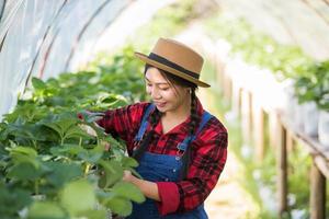 vacker bondekvinna som kontrollerar jordgubbsodling foto