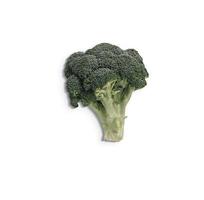 närbild av färsk grön broccoli isolerad på vit bakgrund. lagt till kopieringsutrymme för text. foto