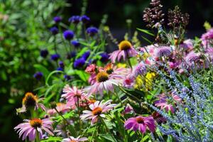 vibrerande blommor blomning i trädgård, blötläggning upp de sommar solsken foto