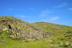 petroglyphs inom de arkeologisk landskap av tamgaly. almaty område, kazakhstan foto