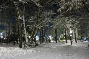 vinter- stad parkera foto