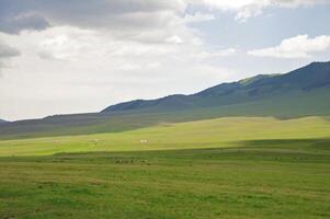 kanjon av temirlik flod, nationell parkera charyn, almaty område, kazakhstan foto