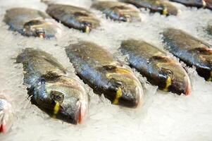 färsk fisk på is dekorerad för försäljning på marknadsföra foto