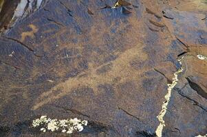 petroglyphs inom de arkeologisk landskap av tamgaly. almaty område, kazakhstan foto