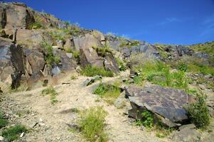 petroglyphs inom de arkeologisk landskap av tamgaly. almaty område, kazakhstan foto