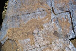 petroglyphs inom de arkeologisk landskap av tamgaly. almaty område, kazakhstan foto