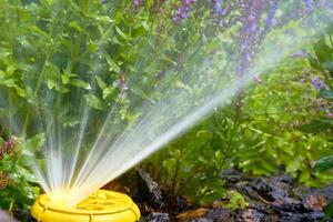 trädgårdsarbete, landskapsarkitektur. sprinkler vattning blommor, varm dag, bevattning systemet foto