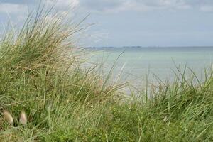 hav costal strandgräs av utah strand på dyn under ljus blå vit grumlig himmel foto