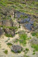 petroglyphs inom de arkeologisk landskap av tamgaly. almaty område, kazakhstan foto