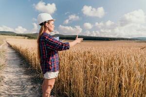 kvinna vete fält. agronom, kvinna jordbrukare kolla upp gyllene mogen korn spikar i kultiverad fält. närbild av kvinna hand på plantage i jordbruks beskära förvaltning begrepp. långsam rörelse foto