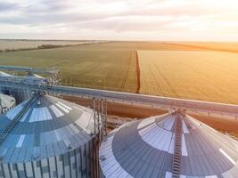 modern metall silos på jordbruksbearbetning och tillverkning växt. antenn se av spannmålsmagasin hiss bearbetning torkning rengöring och lagring av jordbruks Produkter, mjöl, spannmål och spannmål. ingen. foto