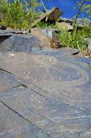 petroglyphs inom de arkeologisk landskap av tamgaly. almaty område, kazakhstan foto