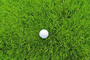 spel i de golf klubb mot de bakgrund av de grön saftig gräs foto