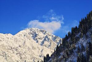 excellent former av vinter- natur foto