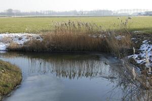 smältande snö i dutch landskap foto