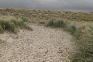 väg i de sanddyner, petten, de nederländerna foto