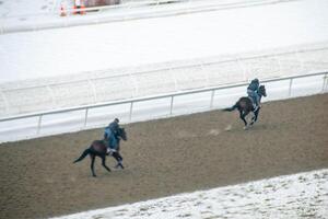 lopp häst med jockeys på de Hem hetero. rakning effekt. foto