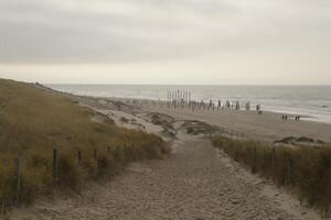 väg från sanddyner till de strand, nederländerna foto