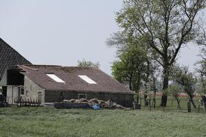 gammal bondgård i de nederländerna foto