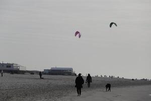 strand i de vinter, kitesurfing, i de nederländerna foto