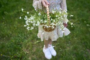 en porträtt av en flicka i en pastell klänning med en korg av blommor i de trädgård foto