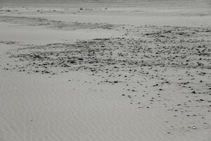 sanddyner på vlieland, de nederländerna foto