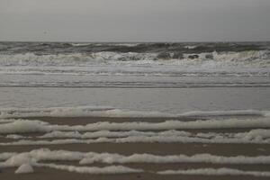 hög tidvatten linje på de strand, separation mellan hav och strand foto