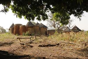 tata somba byar i de norr av benin foto